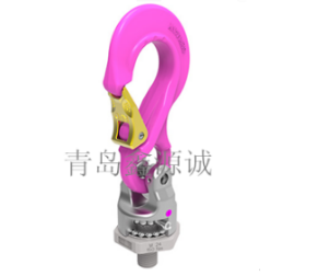 德國RUD PP-S螺栓型旋轉吊點/原裝吊環